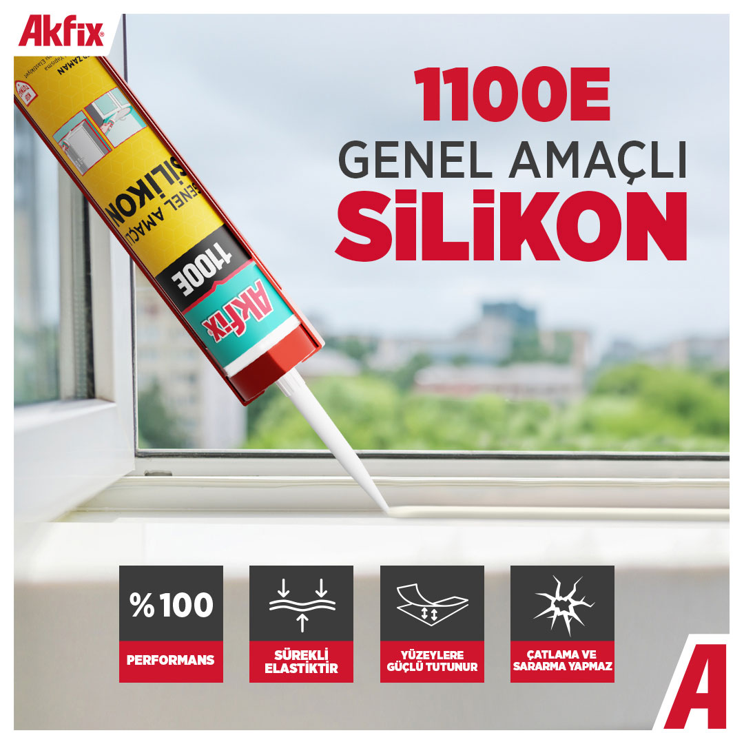1100E GENEL AMAÇLI SİLİKON